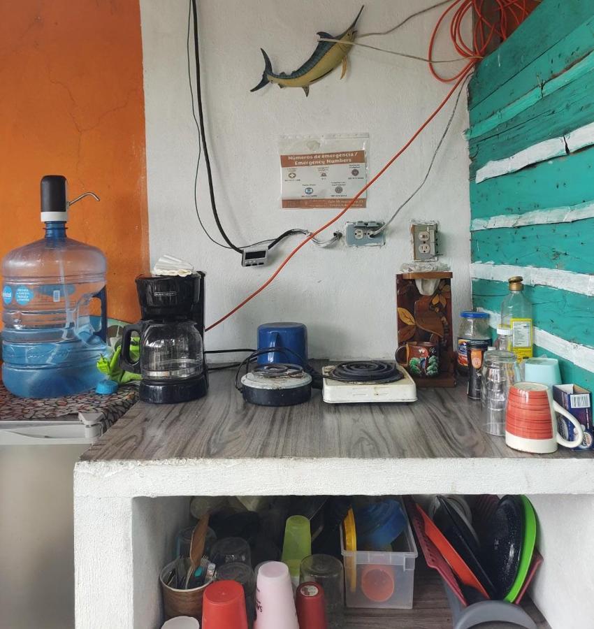 Camping & Voluntary Cozumel