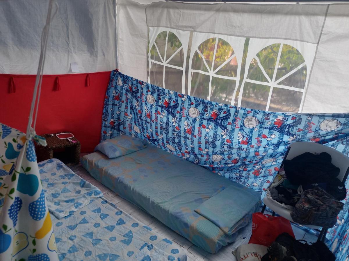 Camping & Voluntary * Cozumel